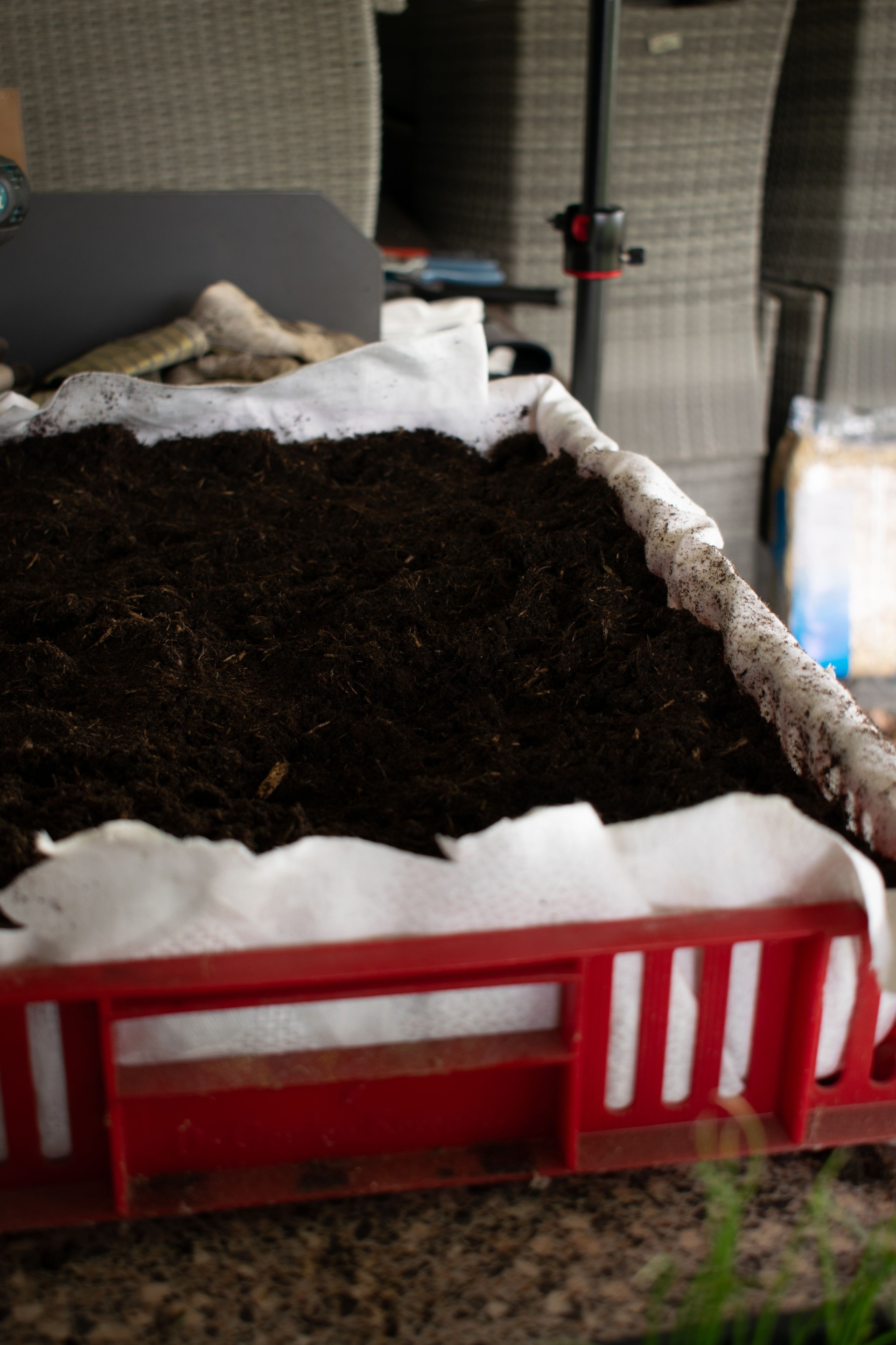 potting  soil in crate